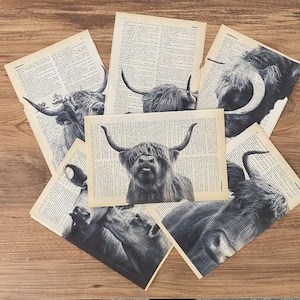 May include: A selection of black and white Highland cow prints on antique dictionary pages. The illustrations depict the cows with their distinctive horns and fur. The prints are arranged on a wooden surface, showcasing the aged paper.