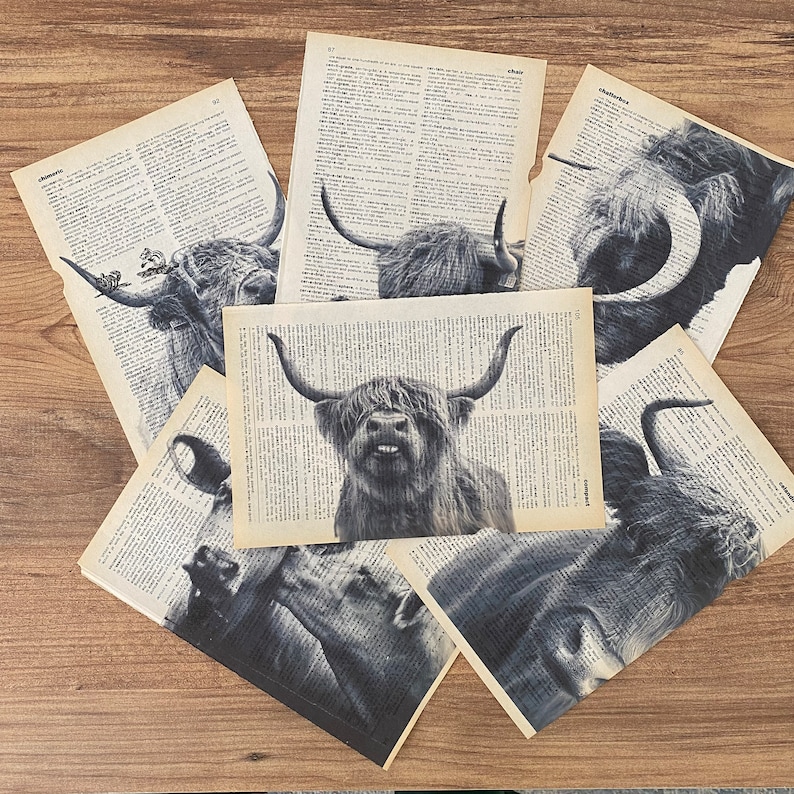 May include: A selection of black and white Highland cow prints on antique dictionary pages. The illustrations depict the cows with their distinctive horns and fur. The prints are arranged on a wooden surface, showcasing the aged paper.
