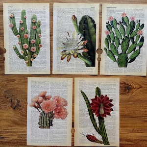 Conjunto de 5 impresiones artísticas de cactus en una página de diccionario antiguo, temática de cactus en una página de libro, carteles florales, impresión artística vintage de desierto, impresión digital de cactus