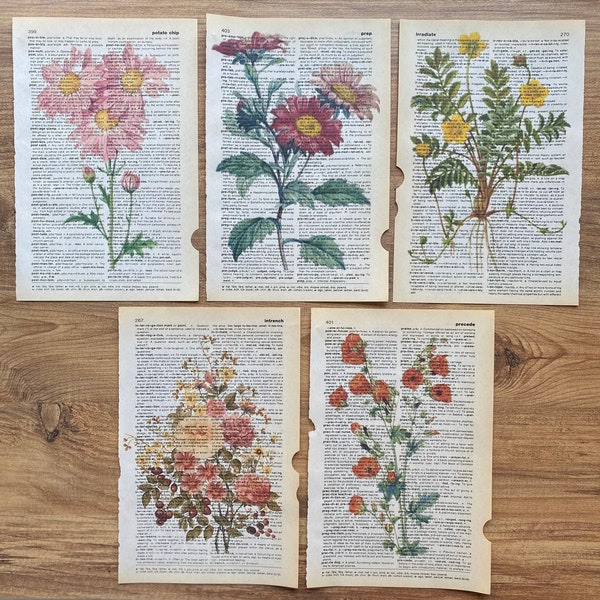Set of 5 flower dictionary print, botanical art set, floral wall prints, botanical poster, flower market prints, nature prints, antique art