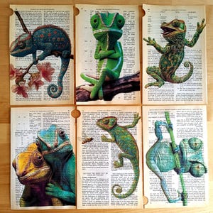 Op de afbeelding: Zes unieke kunstafdrukken met kleurrijke kameleons op vintage woordenboekpagina's. De kameleons zijn afgebeeld in verschillende poses, met gedetailleerde texturen en levendige kleuren, tegen de achtergrond van verouderd papier.