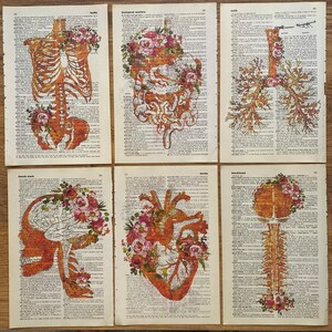 Arte de anatomía, Páginas de diccionario, Anatomía humana, Impresión médica, Regalo de médico, Regalo LMT, Regalo de terapeuta de masaje, RMT, LMT, Impresión del corazón, Anatomía