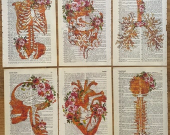 Anatomy Art, Dictionary Pages, Human Anatomy, Medical Print, Doctor Gift, LMT gift, Massage Therapist Gift, RMT, LMT, Heart Print, Anatomy