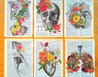 Flower Lungs, Heart Flower Anatomy, Medical Decor, Hispanic Art, Clinical Wall Art, Doctors Office Decor, Skull Art, Brain Anatomy Poster