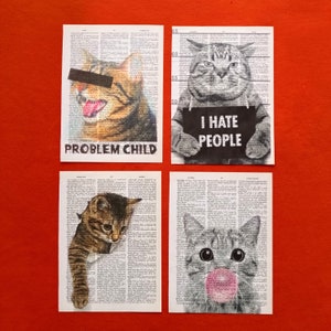 Impression chat, Dictionnaire d'estampes Thème des chats, Amoureux des chats, Art félin, Image de chat, Citations chat, Poster chat, Imprimé animal, Gravures chats, Chat siamois, Chat