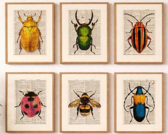 Vintage Insect Wall Art Set of 6, Dictionary Print Beetle Illustration, Colorful Bug Gallery Wall Decor, Entomology Art, Nature Wall Art