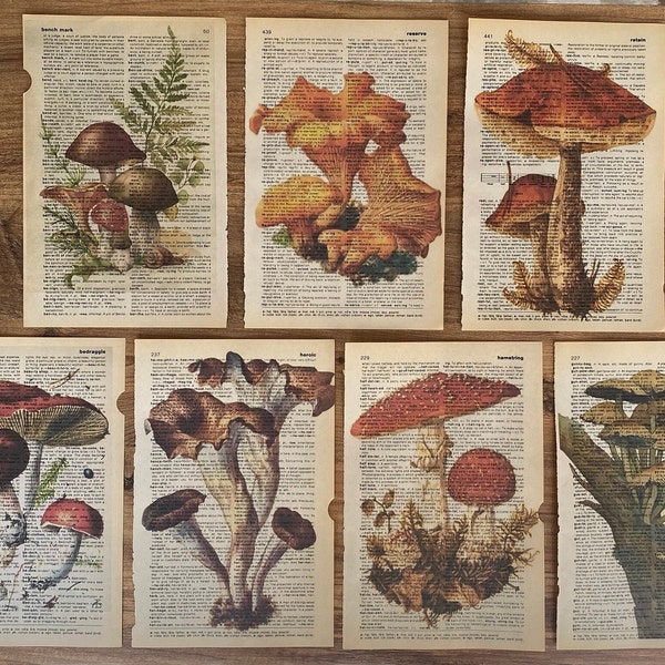Ensemble de 7 impressions d'art sur une vieille page de dictionnaire, champignons sur une page de livre ancien, affiches de champignons, art mural botanique minimaliste