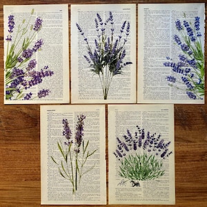 Lavender Dictionary Print, Bathroom Decor, Lavender Poster, Farmhouse Decor, Floral Wall Decor, Lavender flowers Wall Art, Lavender Painting image 2