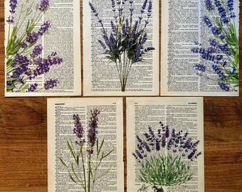 May include: A set of five vintage dictionary pages featuring botanical illustrations of purple lavender sprigs and bushes. Each page displays printed text columns with definitions, showcasing various lavender arrangements in green and purple hues.