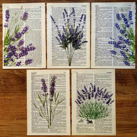 Lavender Dictionary Print, Bathroom Decor, Lavender Poster, Farmhouse Decor, Floral Wall Decor, Lavender flowers Wall Art, Lavender Painting