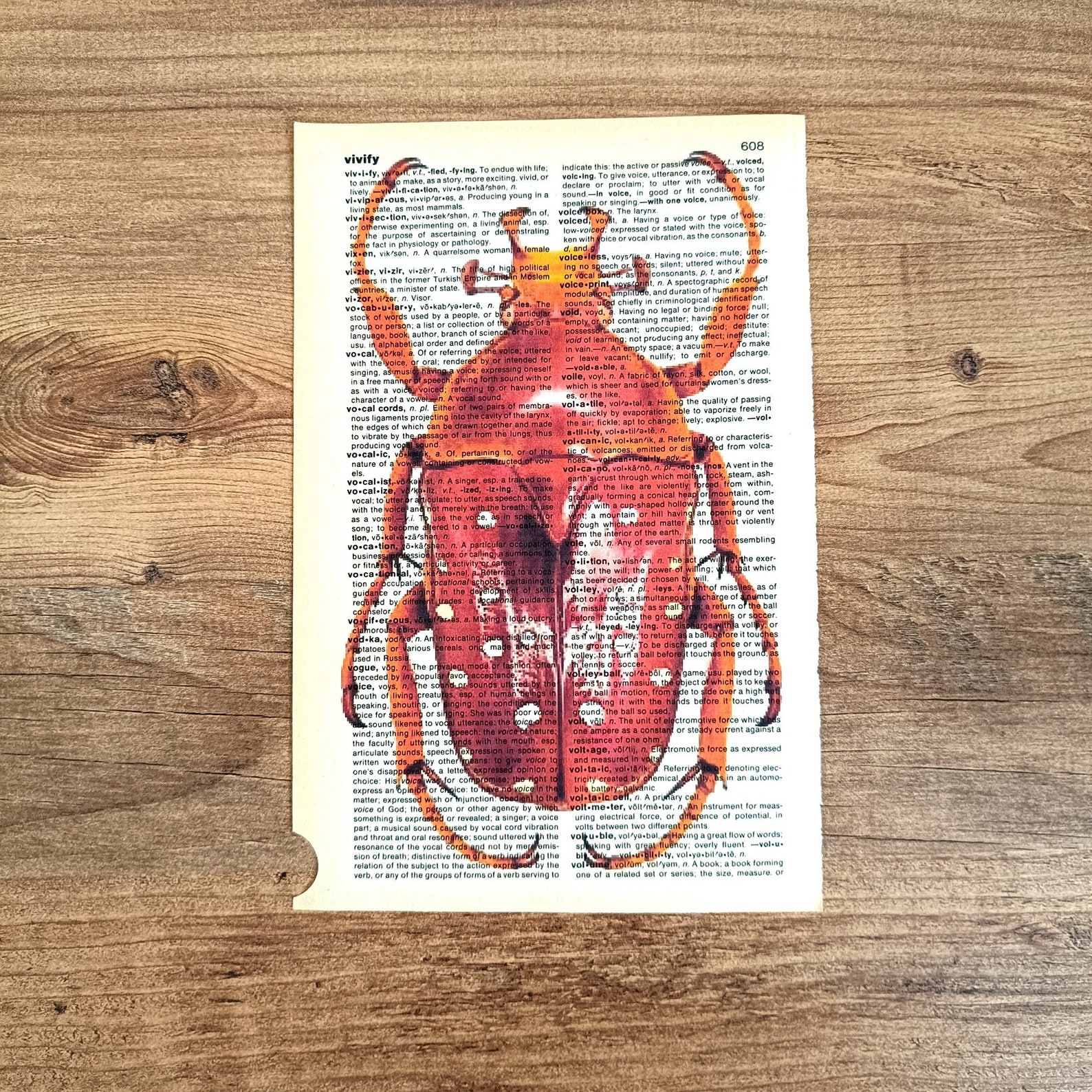 Bugs Prints on Antique Book Page, Set of 7 Insect Art Print on Old ...