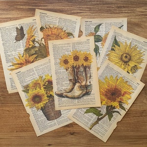 May include: A collection of vintage dictionary pages featuring illustrations of sunflowers. The pages are yellowed with age and have a rustic, antique aesthetic. The pages are titled "Sunflower", "Butter Beans", "Symmetry", and "Spring".