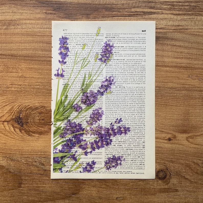 Lavender Dictionary Print, Bathroom Decor, Lavender Poster, Farmhouse Decor, Floral Wall Decor, Lavender flowers Wall Art, Lavender Painting image 7