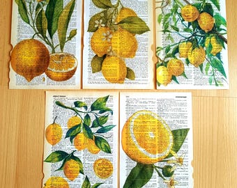 Vintage Lemon Art, Kitchen Gift, Lemon Print, Lemons, Coffee Print, Fruit Painting, Lemon Decor, Vintage Art, Kitchen Poster, Book Lover