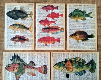 Vintage Fish Art Print: Fly Fishing Decor on Antique Dictionary Page