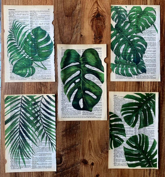 monstera dictionary print set, botanical wall art, monstera leaf, tropical  wall art, antique draft set, botanical dictionary set, art print