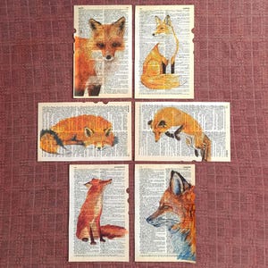 May include: Five vintage book pages featuring watercolour illustrations of foxes. Each page depicts a different fox pose, including a fox sitting, a fox lying down, and a fox standing. The pages are printed with black text.