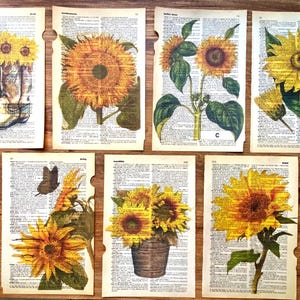 Set of 7 Sunflower Poster on Antique Dictionary Pages, Yellow Wall Art Botanical, Old Book Wall Art, Fall Sunflower, Sunflower Clipart Png,