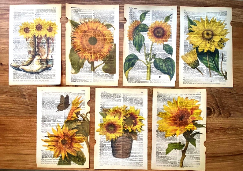 May include: Six vintage dictionary pages with illustrations of sunflowers. The pages are yellowed with age and have a worn, antique look. The sunflowers are depicted in various stages of bloom, with some showing the full flower and others showing the bud.