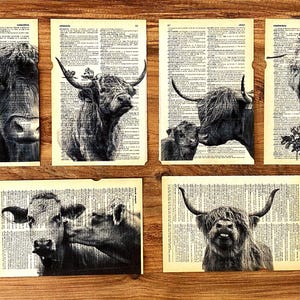 Highland Kuh Posterdruck 6er-Set Auf alten Wörterbuchseiten, schwarz-weißes Kuhdruckmaterial, schwarz-weißes Kuhgesicht Bildleinwand