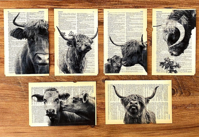 May include: Six monochrome prints of Highland cows, each set against a backdrop of vintage dictionary pages. The prints display various cow portraits, highlighting their horns and shaggy coats. The images are collages, blending the cow illustrations with the text.