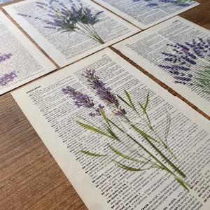 Lavender Dictionary Print, Bathroom Decor, Lavender Poster, Farmhouse Decor, Floral Wall Decor, Lavender flowers Wall Art, Lavender Painting image 4