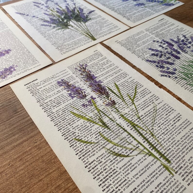 Lavender Dictionary Print, Bathroom Decor, Lavender Poster, Farmhouse Decor, Floral Wall Decor, Lavender flowers Wall Art, Lavender Painting image 4