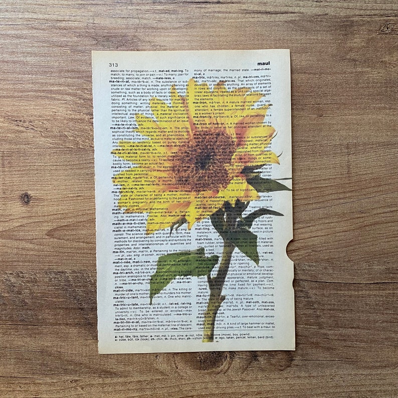 May include: A close-up of a sunflower with yellow petals and a dark brown center. The sunflower is growing out of a green stem and is surrounded by a page from a dictionary with the word "Maui" highlighted. The dictionary page contains definitions for words related to marriage, motherhood, and mathematics.