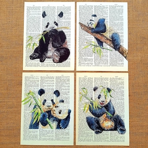 Panda Nursery Art, Panda Print, Baby Animals, Zoo Animal Nursery, Baby Panda Print, Baby Girl Nursery Art, Girls Room Art, Pand Wall Art