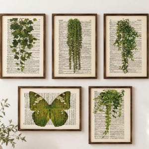 Vintage Grün Floral Wörterbuch Druck Boho Wandkunst Grüne Blätter Blumenmarkt Prints Vintage Schmetterling Line Art Mintgrün Retro Print