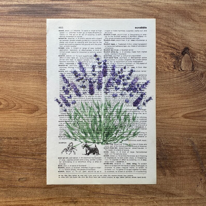 Lavender Dictionary Print, Bathroom Decor, Lavender Poster, Farmhouse Decor, Floral Wall Decor, Lavender flowers Wall Art, Lavender Painting image 9