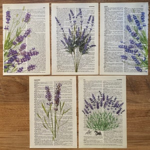 Lavender Dictionary Print, Bathroom Decor, Lavender Poster, Farmhouse Decor, Floral Wall Decor, Lavender flowers Wall Art, Lavender Painting