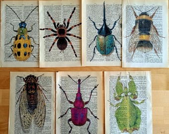 Set of 7 Insect Dictionary Prints–Vintage Bug Wall Art–Entomology Illustration Home Decor-Bug Art Print Set–Entomology Decor-Bug Lover Gift