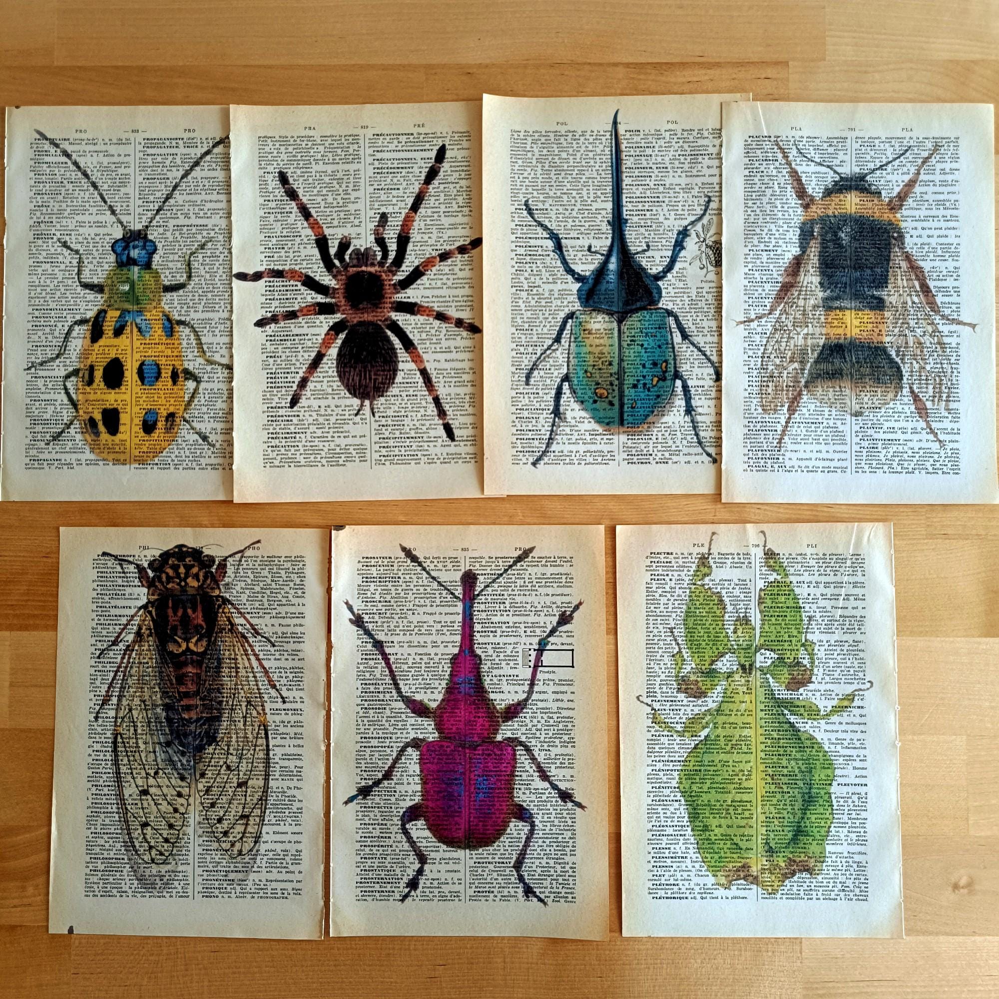 Whimsical Insect Decor