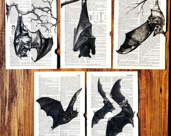 Set of 5 bat prints dictionary page, bat theme on book page, Romantic Victorian gothic home decor art prints, black white art, bat decor