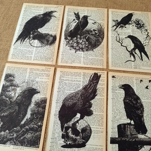 Puede incluir: Seis ilustraciones de cuervos en blanco y negro impresas en páginas de diccionario vintage. Los cuervos se representan en varias poses, incluyendo posados en ramas, volando y sosteniendo una calavera.
