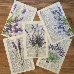 Lavender Dictionary Print, Bathroom Decor, Lavender Poster, Farmhouse Decor, Floral Wall Decor, Lavender flowers Wall Art, Lavender Painting image 5