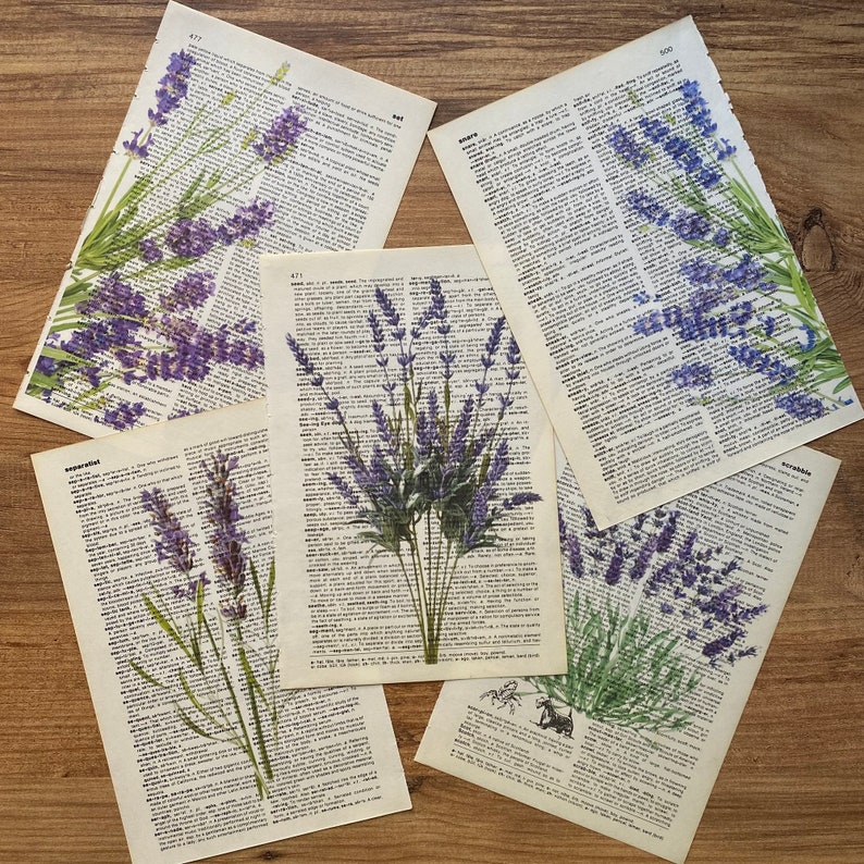 Lavender Dictionary Print, Bathroom Decor, Lavender Poster, Farmhouse Decor, Floral Wall Decor, Lavender flowers Wall Art, Lavender Painting image 5