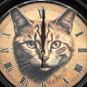 May include: A vintage-style clock face with Roman numerals, featuring a cat's face in the center. The clock hands are pointing at 12 o'clock.