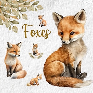 Clipart aquarelle renard, joli graphisme pour baby shower, graphismes de fête d'anniversaire, art mural déco chambre d'enfant, zoo des animaux des bois PNG