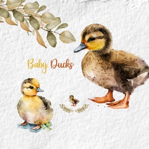 Baby Duck Watercolor Clipart, Cute Bird Baby Shower Graphics, Nursery Decor Wall Art, Baby Duck Birthday Graphics, Spring Farm Animal PNG