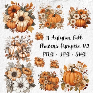 Otoño Otoño Flores Calabaza Clipart, Otoño Otoño Sunfloral Calabaza Flores Calabaza Svg, Otoño Floral Calabaza JPG Png Otoño Calabaza Clipart
