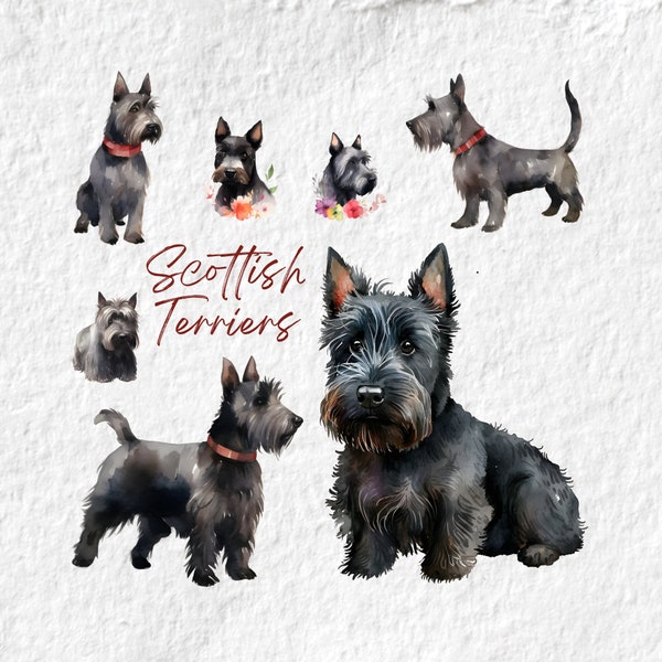 Scottish Terrier Clipart, Cute Scottish Terrier Puppy Watercolor Clipart, Little Pet Puppy Doggie Animal Png, Baby Shower Birthday Party Png