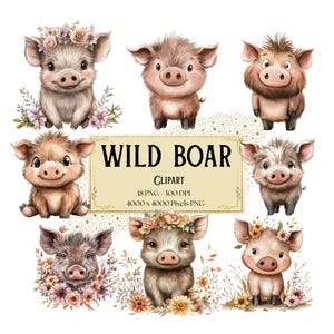 Clipart cinghiale, Clipart cinghiale floreale, Clipart cinghiale selvatico, Clipart animale safari, Clipart compleanno baby shower animali zoo bosco