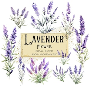 Lavender Flower Clipart, Lavender Provence Floral Clipart, Lavender Valentines Wedding PNG, Lavender Bridal Shower Bride PNG Clipart