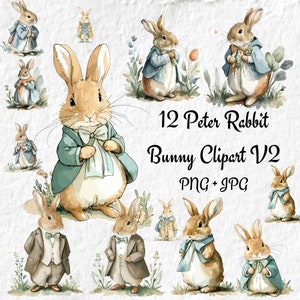 Peter Rabbit Beatrix Bunny PNG Clipart, Clipart lapin Beatrix, anniversaire Baby Shower graphiques, pour T shirt tasses cartes Tags bricolage Png