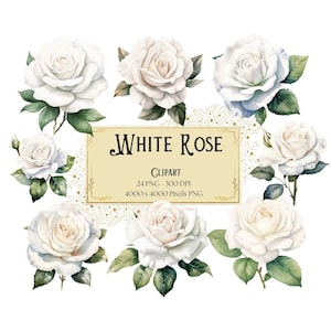 White Rose Clipart, White Rose Flowers Clipart, White Roses Valentines Wedding PNG, White Roses Bridal Shower Bride PNG Clipart, Instant