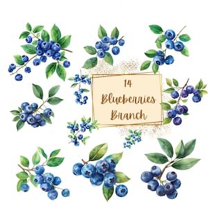 Blaubeer Zweig Clipart, Blaubeer Korb Obst Clipart, Niedliche Blaubeer Geburtstag Baby Shower Party Grafiken, Kinderzimmer Dekor Wandkunst