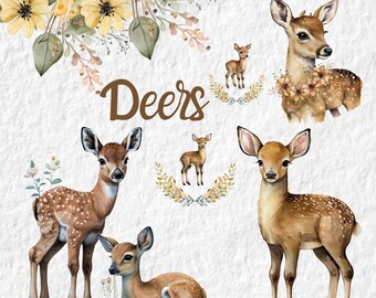 Deer Watercolor Clipart, Cute Fawn Deer Baby Shower Graphics, Nursery Birthday Decor Wall Art, Woodland Animal Watercolor Clipart PNG