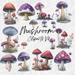 Champignon forêt Clipart, mignon forêt Nature champignon vénéneux Clipart champignon, Baby Shower anniversaire fête graphiques, champignons botaniques Art PNG